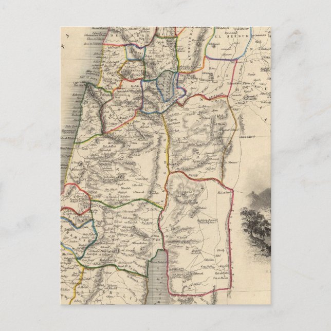Modern Palestine Postcard (Front)