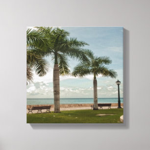 Modern Palm Tree Tropical Nature St. Croix USVI  Canvas Print