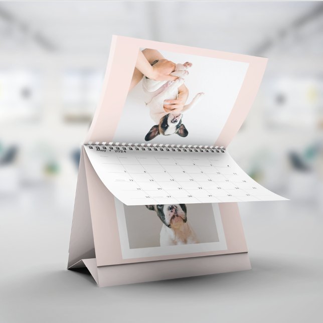 Modern Pastel Pink Frame | Personal Dog Photo Calendar (Creator Uploaded)