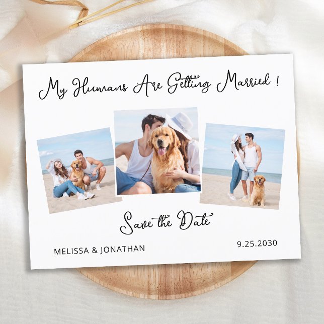 Modern Personalized 3 Pet Dog Photo Save The Date  Announcement Postcard (Creator Uploaded)