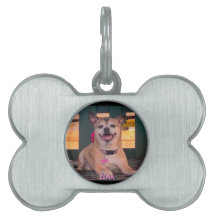 Modern Personalized Dog Name photo