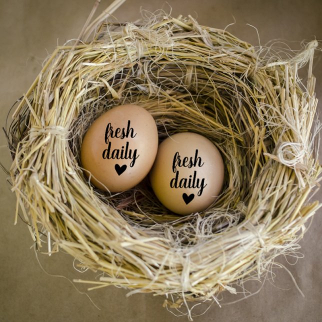 Modern Personalized Farm Fresh Eggs  Rubber Stamp (Modern personalized fresh daily egg stamp)