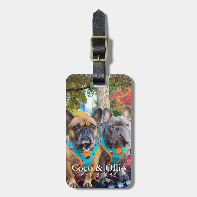 Modern Personalized Giveaway Winners Coco & Ollie Luggage Tag (Front Vertical)