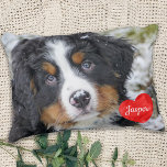 Modern Personalized Photo Dog lover Pet Decorative Pillow<br><div class="desc">Celebrate your best friend with a personalized Pet Pillow . Name will be showcased in a beautiful watercolor heart . Customize with your own photo , and name . Perfect gift for a dog lover friend, pet loss keepsake , even for family, best friends, sisters, siblings, or grandparents . COPYRIGHT...</div>