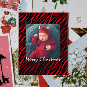 Modern Personalized Photo Red Zebra Christmas Postcard