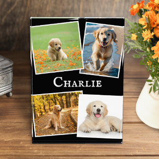 Modern Pet Dog Collage Keepsake Photo Block