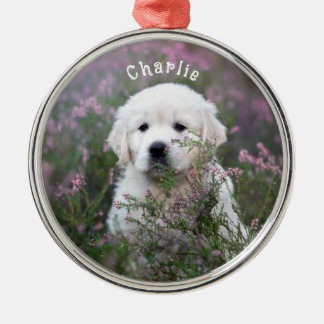 Modern Pet Keepsake Metal Ornament