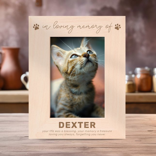 Modern Pet Loss Memorial Etched Frames (Creator Uploaded)