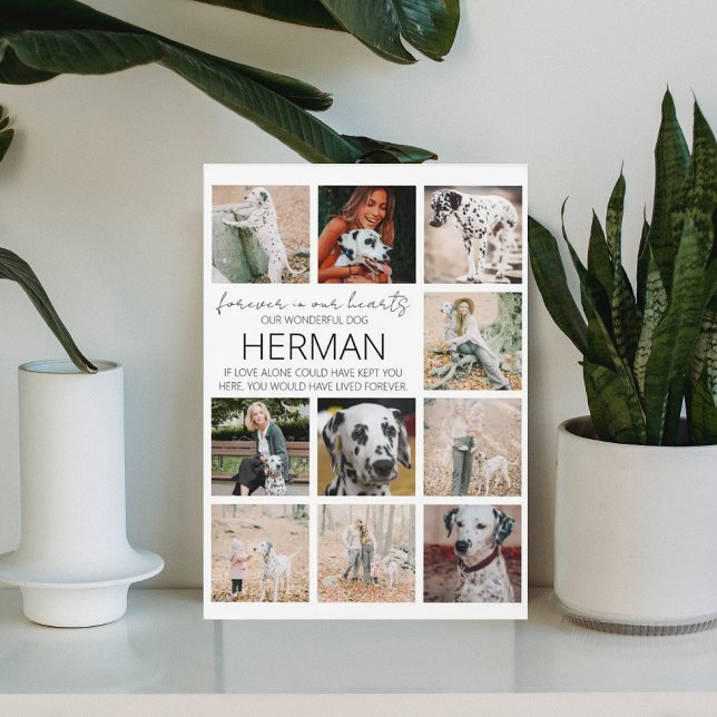 Modern Pet Memorial Photo Collage Plaque (Creator Uploaded)