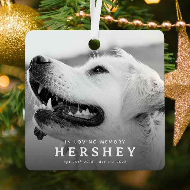 Modern Pet Memorial Photo Keepsake Christmas Metal Ornament (Creator Uploaded)