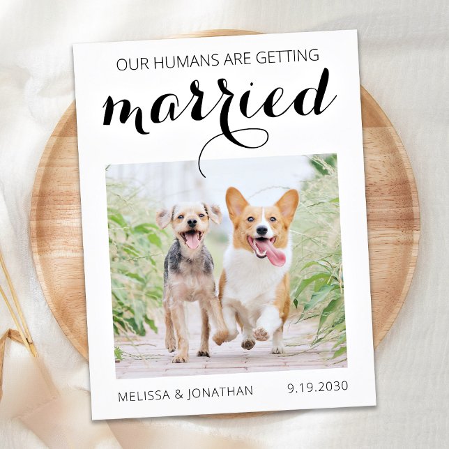 Modern Pet Photo Engagement Dog Save The Date Anno Announcement Postcard (Creator Uploaded)
