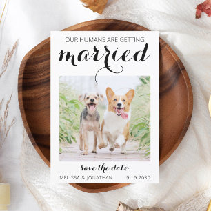 Modern Pet Photo Engagement Dog Wedding Save The D Date