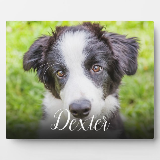 Modern Pet Photo Memorial Script Plaque (Front)