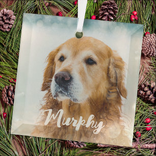 Modern Pet Photo Personalized Whimsical Dog Lover  Glass Ornament