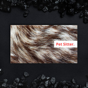 Modern Pet Sitter Business Cards Minimal Simple