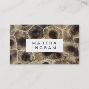 Modern Petoskey Stone Abstract Stone Design Business Card
