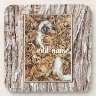 modern Photo collage dog pet funny Coaster