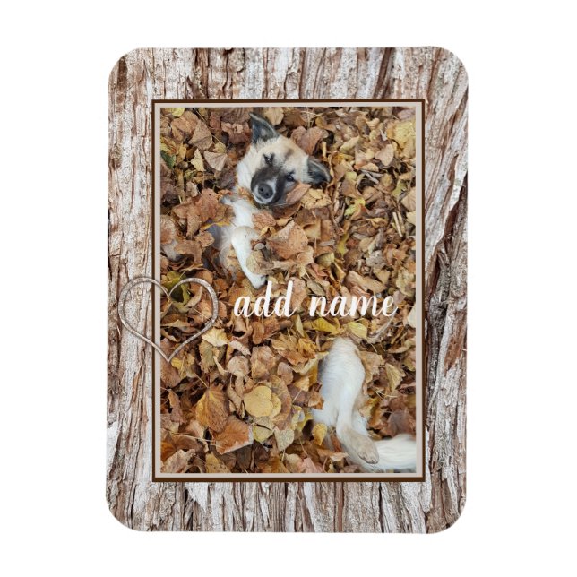 modern Photo collage dog pet funny Magnet (Vertical)