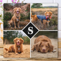 Modern Photo Collage Personalized Monogram Pet Dog