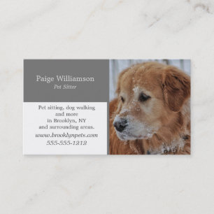Modern Photo Pet  Business Card