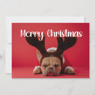 Modern photo with backside greetings Holiday card