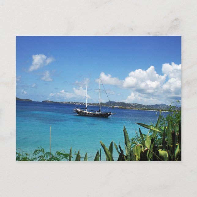 Modern Pirate Postcard (Front)