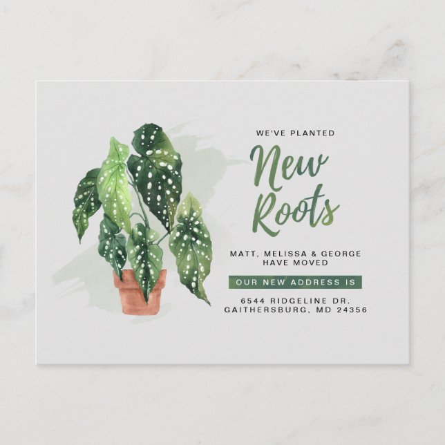 Modern Planted New Roots Moving New Address Announ Announcement Postcard (Front)