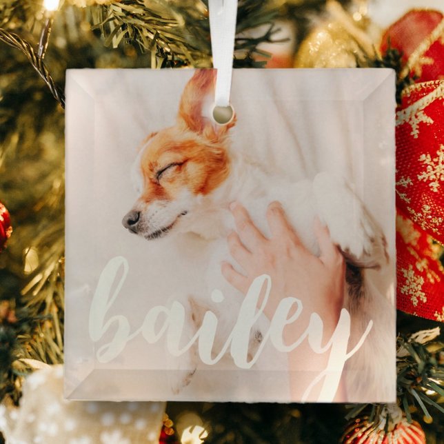 Modern Playful Simple Elegant Chic Pet Photo Glass Ornament (Creator Uploaded)