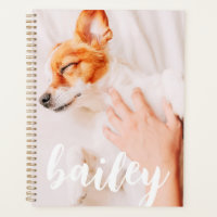 Modern Playful Simple Elegant Chic Pet Photo