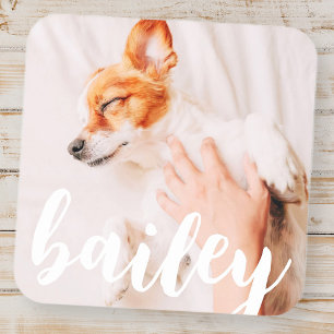 Modern Playful Simple Elegant Chic Pet Photo Square Sticker