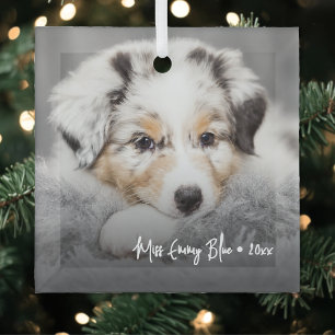 Modern Playful Simple Elegant Pet Photo Glass Ornament