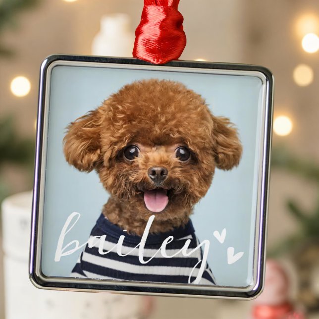 Modern Playful Simple Hearts Chic Pet Photo Metal Ornament (Creator Uploaded)