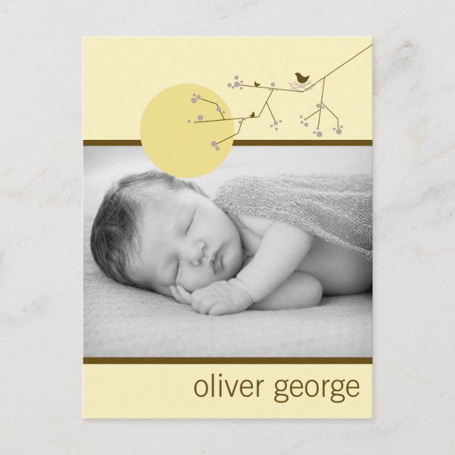 Modern Plum Nesting Bird Family Simple Photo Birth Announcement Postcard (Front)