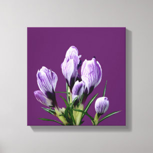 Modern purple crocus floral trendy digital stylish canvas print