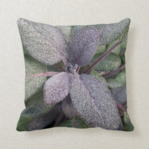 Modern Purple Sage Garden Herb Photo Throw Pillow