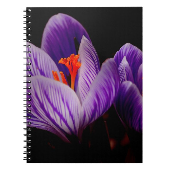 Modern Purple Tulip Flower Notebook (Front)