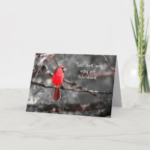 Modern Red Cardinal in Tree with Quote Card