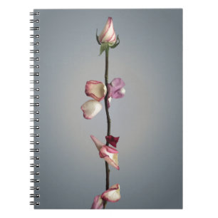 Modern Rose Beauty and the beast sentiment Notebook