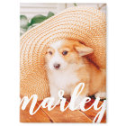 Modern Rustic Simple Custom Pet Photo