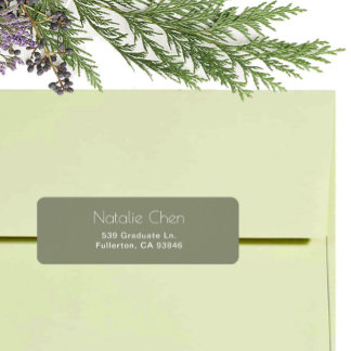 Modern Sage Green Elegant Fonts