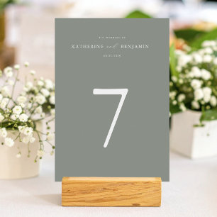 Modern Sage Green Minimalist Wedding Table Number