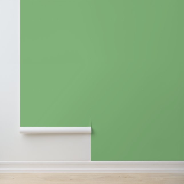 Modern sage green plain solid colour simple elegan wallpaper (Application)
