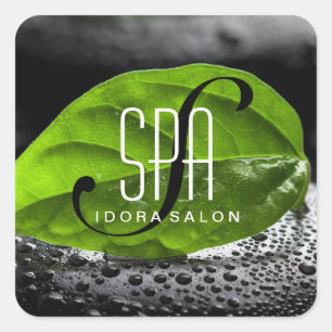 Modern Salon Stickers