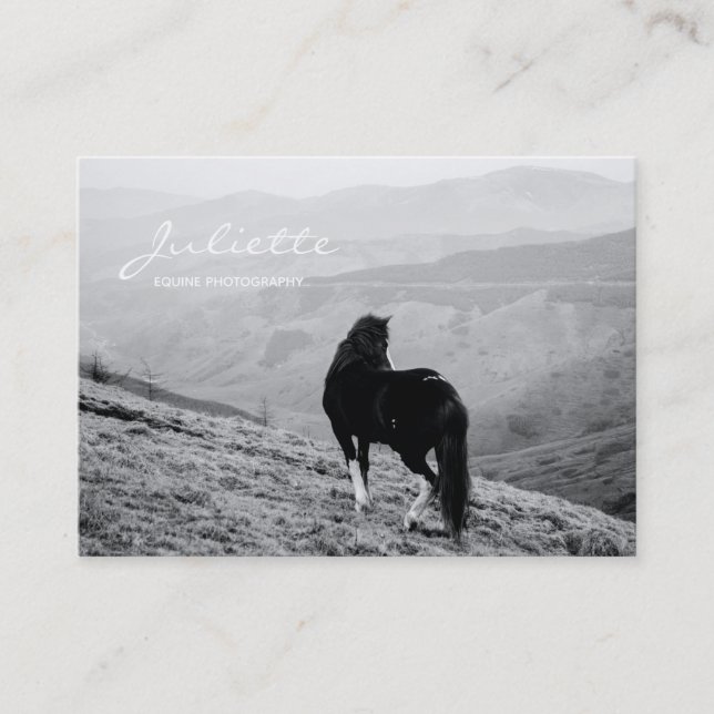 Modern Script Black White Horse Equine Photography Business Card (Front)