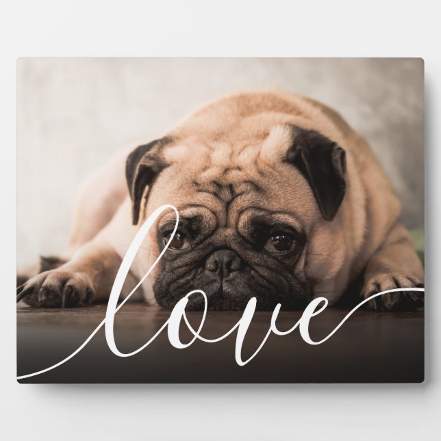 Modern Script Love Pet Photo Plaque (Front)
