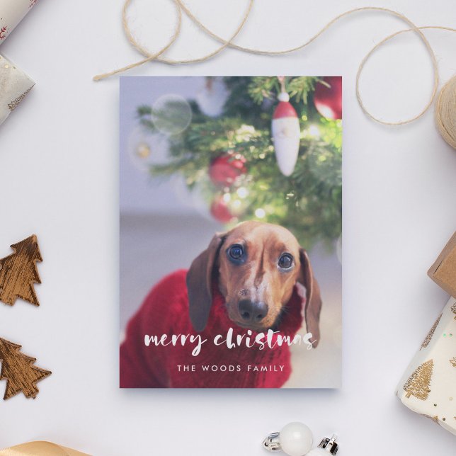 Modern script Merry Christmas Pet photo Holiday Card (Creator Uploaded)