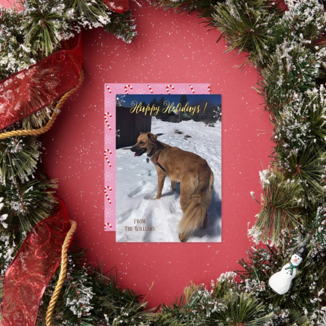 Modern Script Vertical Dog Photo Foil Holiday Card (Insitu)