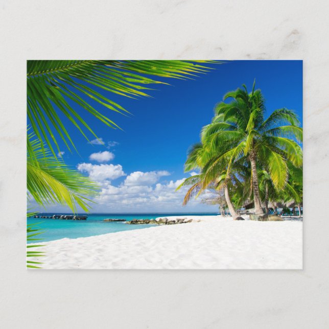 Modern Sea View Flat Postcard (Front)