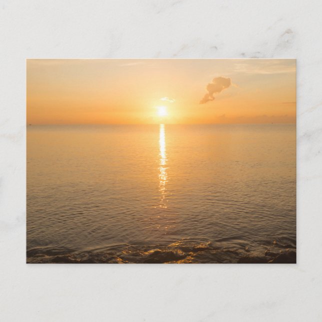 Modern Sea View Flat Postcard (Front)
