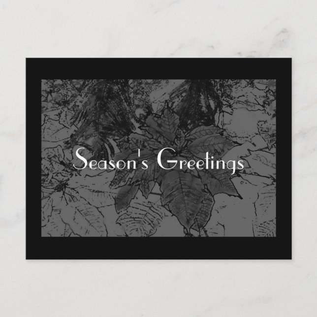 Modern Season's Greeting Holiday Postcard (Front)